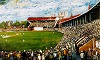 Adelaide Oval - a Century of Cricket
