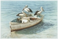 Philip Farley - Pelican Shores