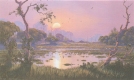 Peter Snelgar - Yellow Waters - Kakadu